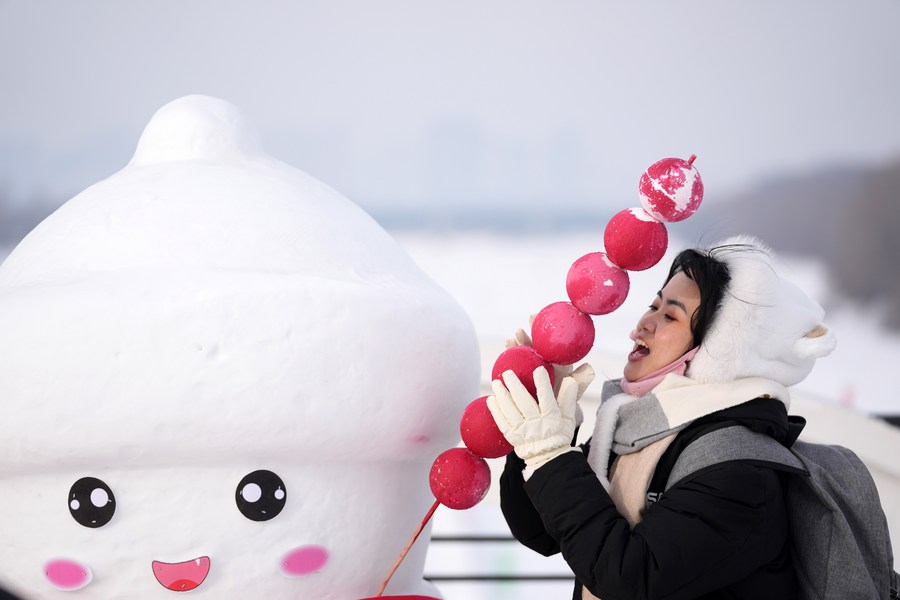 Cold weather forecast for China during Lunar New Year. Pictured are tourists in Harbin, Heilongjiang Province, northeast China. Photo: Xinhua