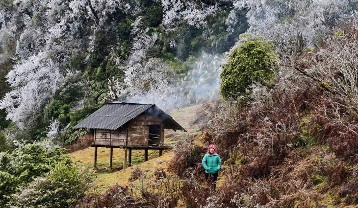 Truoc tinh hinh nay, huyen Mu Cang Chai da yeu cau cac xa chu dong phong, chong ret cho gia suc, gia cam; khuyen cao nguoi dan trong nhung ngay nhiet do giam sau khong tha rong gia suc, quay kin va chuan bi san thuc an cho dan vat nuoi. Anh: Vang A Thao