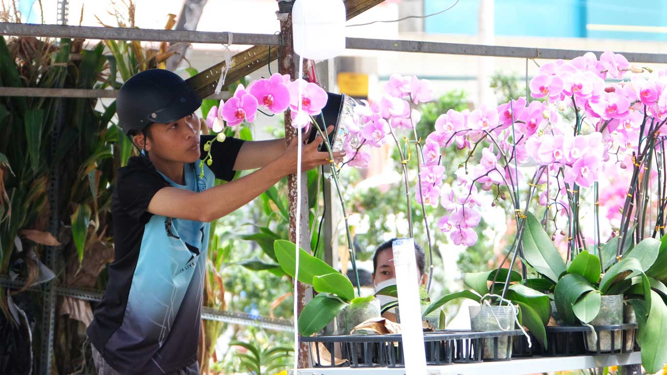 Da so tieu thuong danh gia mua hoa Tet nam nay khong thang loi. Anh: Phong Linh.