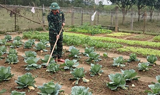 Đại úy Đông tăng gia sản xuất tại đơn vị. Khi nhặt được chiếc túi xách của người đánh rơi, nam đại úy đã trả lại cho người mất. Ảnh: Hữu Thịnh