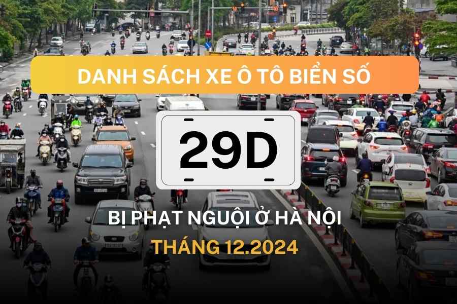 List of fines for December 2024