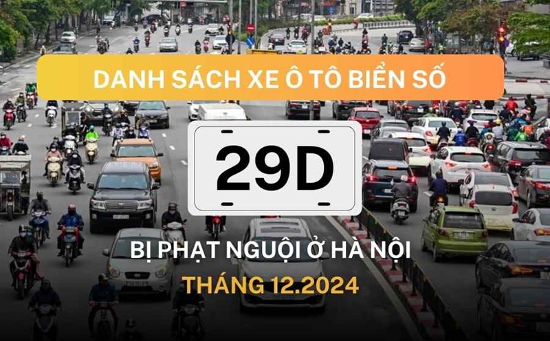 List of fines for December 2024