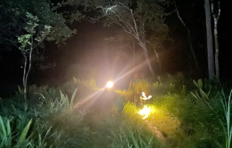 Yok Don National Park staff organize patrols and forest protection on the occasion of Lunar New Year 2025. Photo: Lam Hong