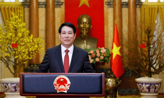Nhân dịp Xuân mới Ất Tỵ 2025, Chủ tịch nước Lương Cường đã có thông điệp chúc Tết. Ảnh: TTXVN