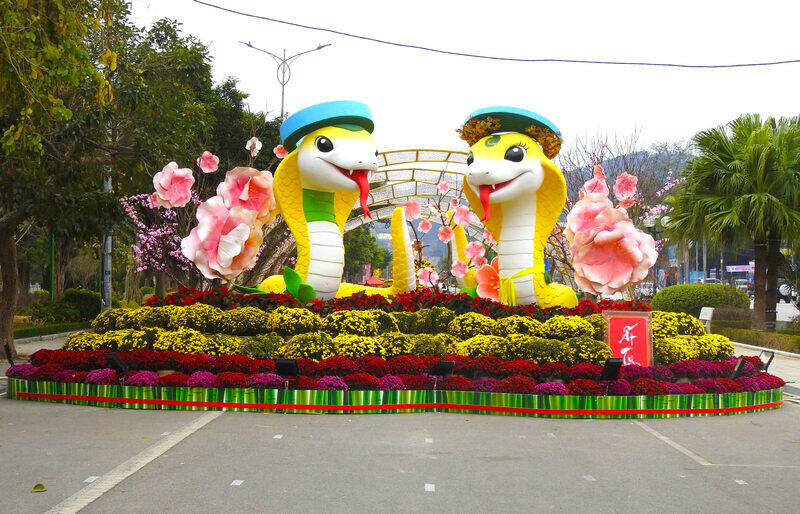 The "Na" couple from Lang Son on the first day of the new year. Photo: To Cong