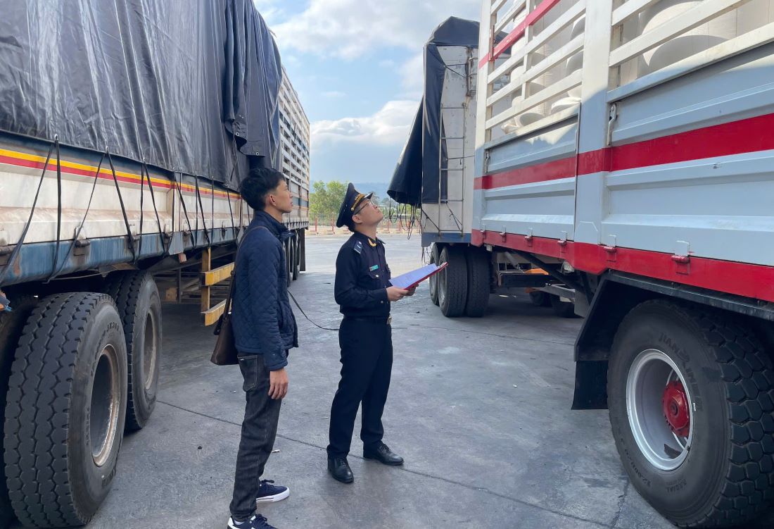 Lao Bao Border Gate Customs Branch inspects the first shipment of goods to complete procedures on the first day of the year. Photo: H.Nguyen