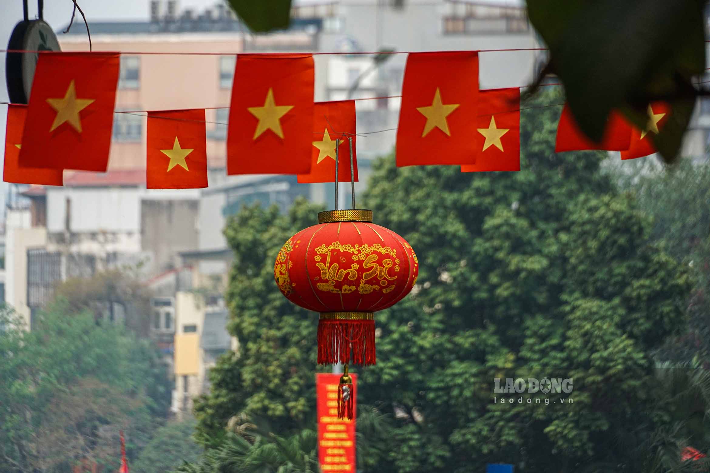 Nhieu con tuyen pho, con ngo tai Thu do Ha Noi rop bong co hoa.