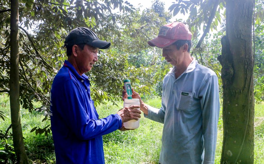 Nha vuon trong sau rieng thuong xuyen kiem tra do man truoc khi bom tuoi nuoc cho cay. Anh: Phuong Anh