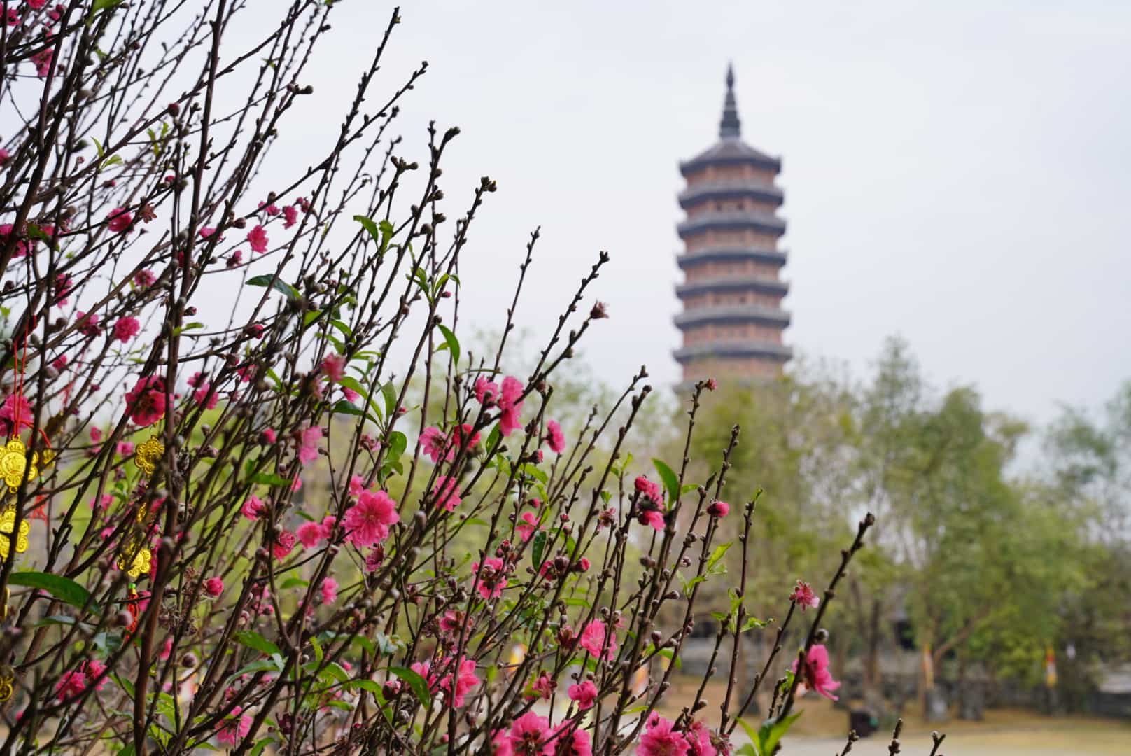 Bai Dinh Pagoda is located in Trang An Scenic Landscape Complex (Ninh Binh) - World Cultural and Natural Heritage. Photo: Nguyen Truong