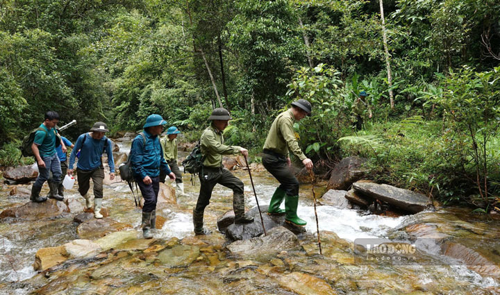 Lực lượng kiểm lâm cùng với các thành viên trong tổ tuần tra thường xuyên phải vượt suối, băng rừng để bảo vệ những cánh rừng xanh. Ảnh: Bảo Nguyên 