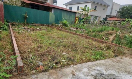 Phân khúc đất nền tách thửa ở vùng ven Hà Nội đang được nhiều người quan tâm. Ảnh: Thu Giang