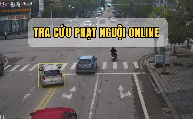 How to look up traffic fines from 2025 using VNeTraffic