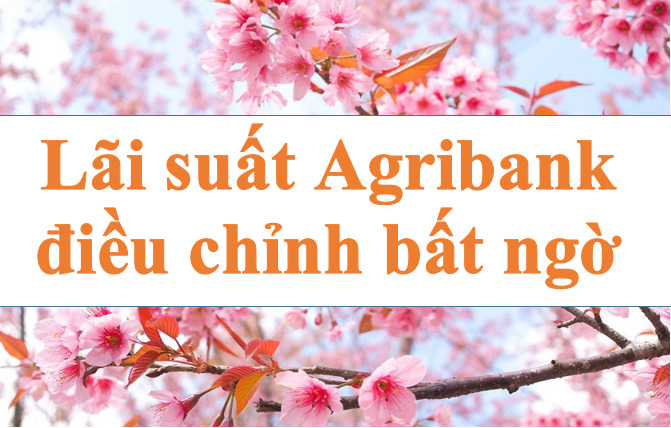 Agribank's interest rate adjustment was unexpected. Illustration: Ha Vy