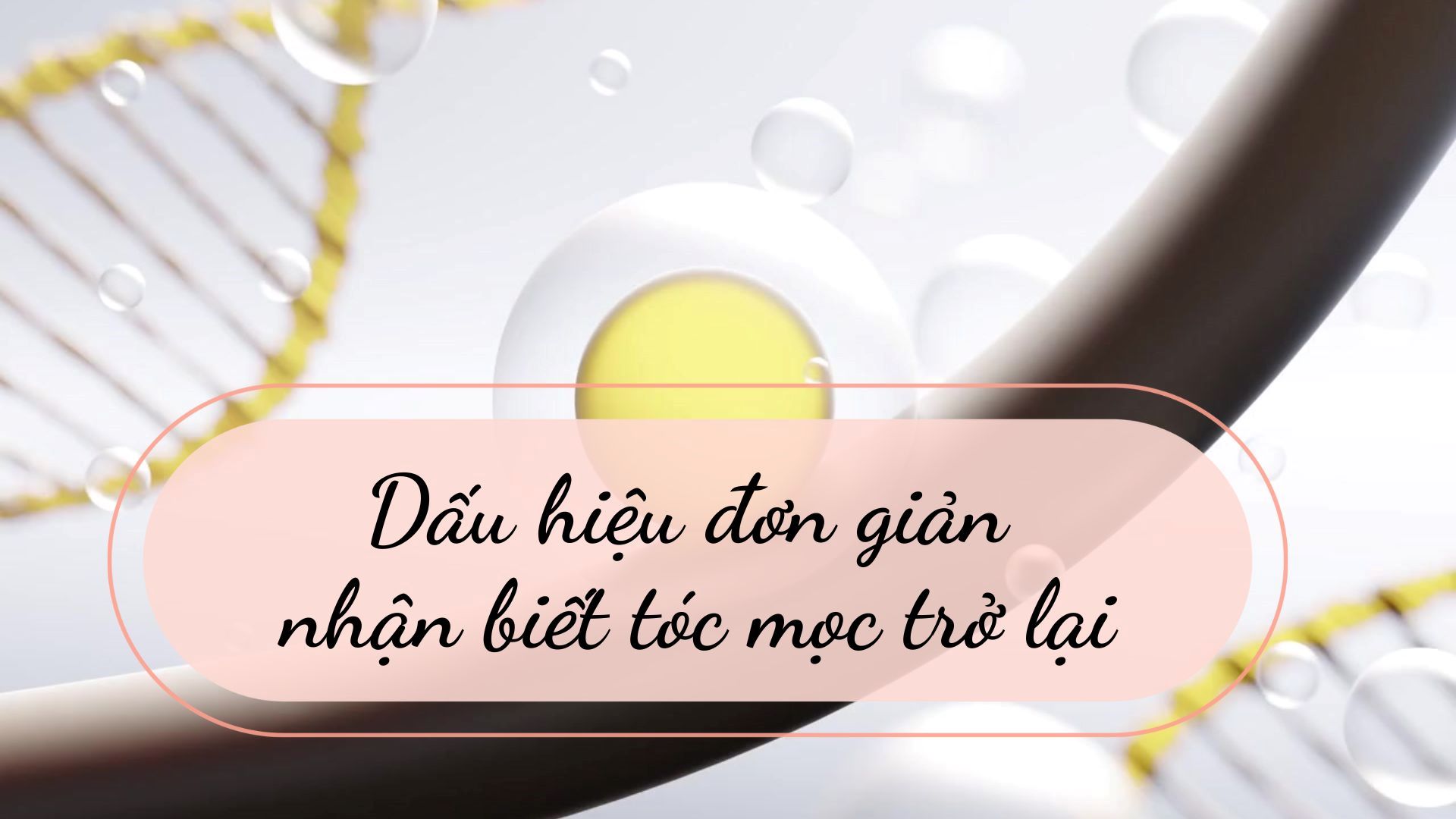 Simple signs of hair regrowth.