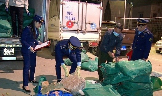 Hàng loạt vụ vận chuyển nội tạng, thực phẩm hôi thối bị cơ quan chức năng tỉnh Lạng Sơn phát hiện. Ảnh: Hoàng Thơ
