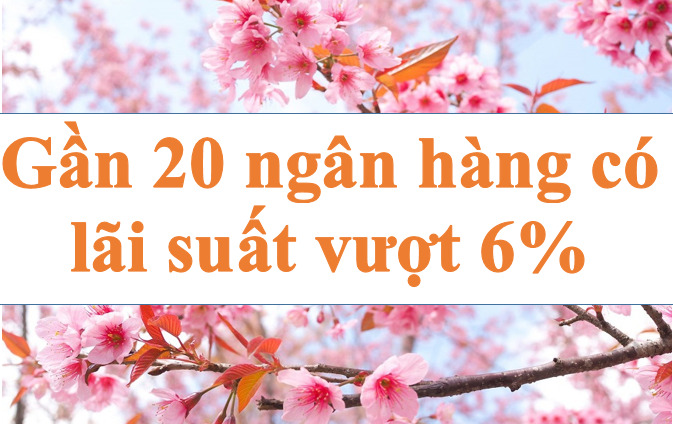 Nearly 20 banks have interest rates exceeding 6%. Photo: Ha Vy