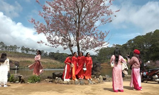 Khách du xuân chụp hình tại Măng Đen. Ảnh: Trung tâm VHTTDL&TT huyện Kon Plông