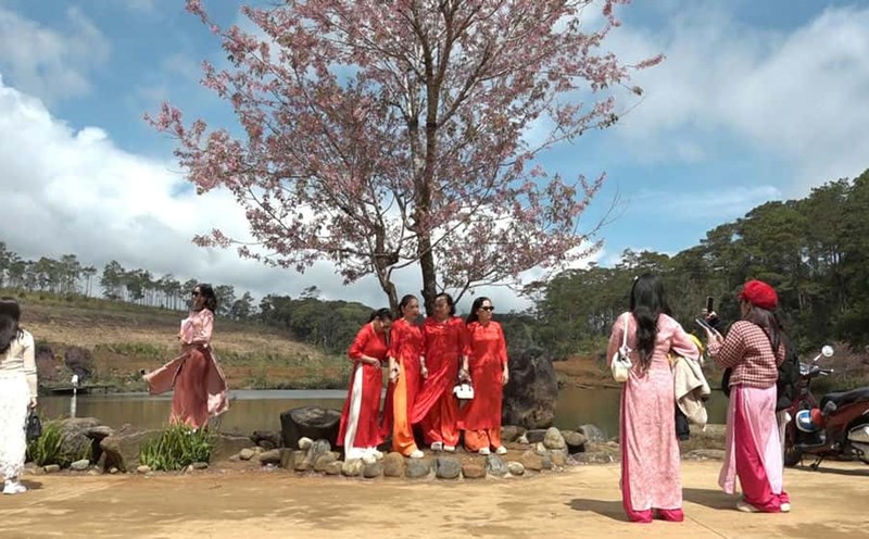 Spring tourists take photos in Mang Den. Photo: Kon Plong District Culture, Sports and Tourism Center