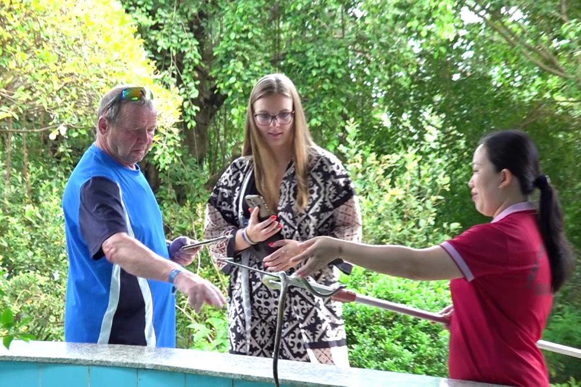 Tourists excitedly experience snake catching in Phu Quoc. Photo: Ta Quang