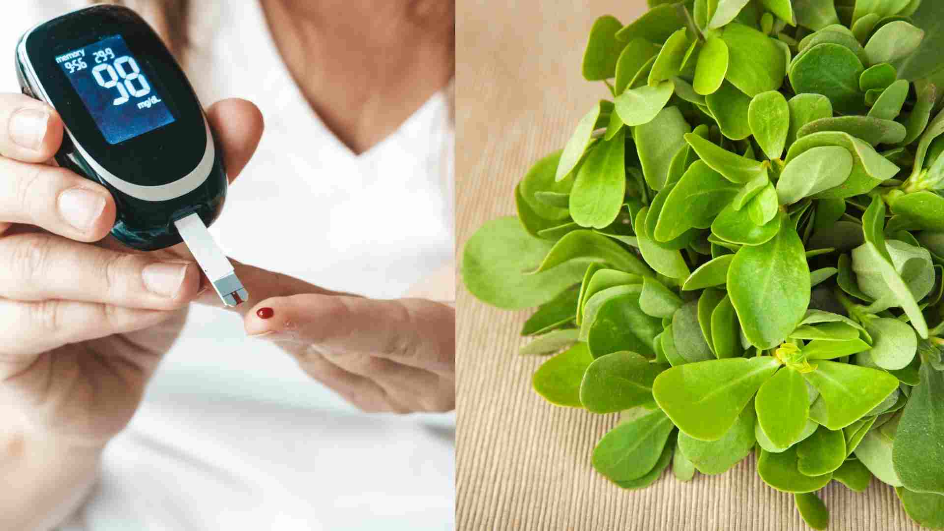 Purslane helps prevent high blood sugar. Graphics: Ha May