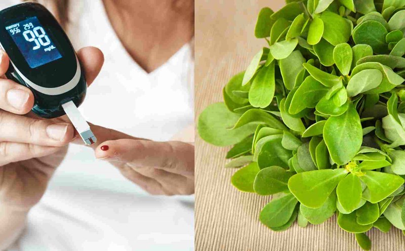 Purslane helps prevent high blood sugar. Graphics: Ha May