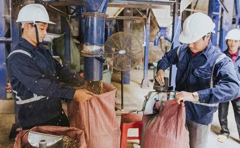 Trade unions at all levels in Dak Lak province are focusing on developing Party members in enterprises. Photo: Bao Trung