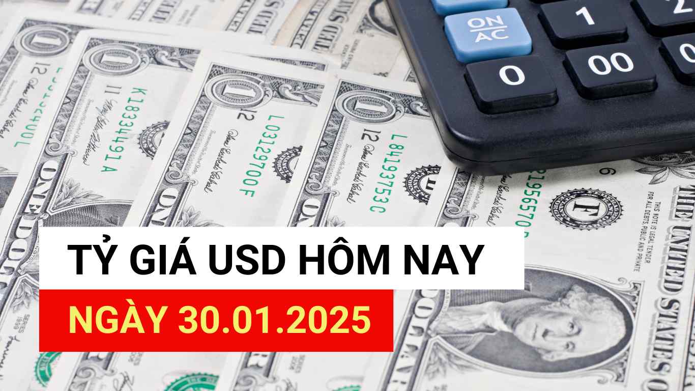 USD exchange rate today 1/31/2025.