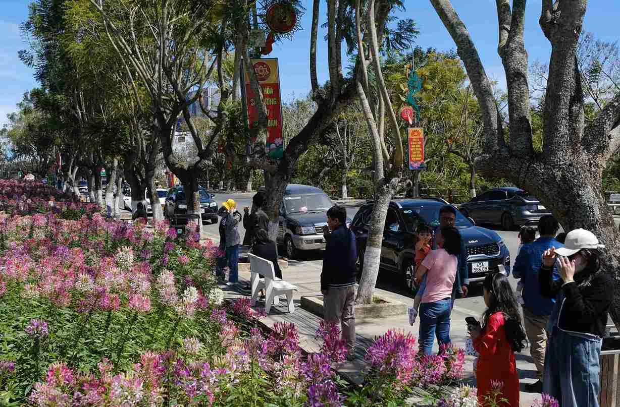 Tourists come to Da Lat city for sightseeing and relaxation during Tet holidays. Photo: D.Thuong - H.Anh