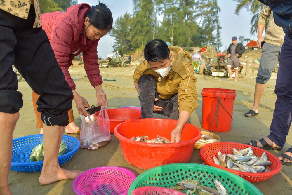 Sau khi thuyen vao bo mang theo rat nhieu ca tom, nguoi dan va thuong lai hoi ha den thu mua. Anh: Quach Du