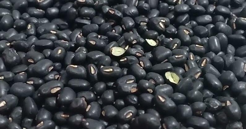 Black bean water can effectively support liver detoxification, especially after drinking alcohol. Photo: Kieu Vu