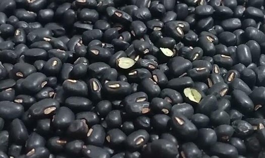 Nước đậu đen có thể hỗ trợ giải độc gan hiệu quả, nhất là sau khi uống rượu bia. Ảnh: Kiều Vũ