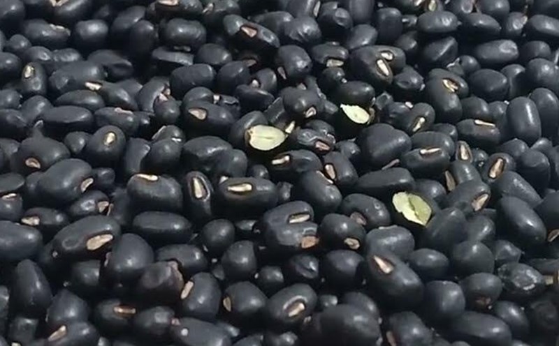 Black bean water can effectively support liver detoxification, especially after drinking alcohol. Photo: Kieu Vu