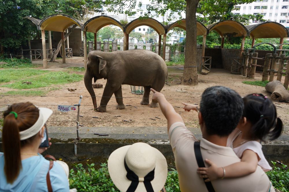  Trong nhung ngay nay, cac dich vu tai nhung diem vui choi deu hoat dong het cong suat. Dac biet la mung 3 Tet, luong khach toi Thao Cam Vien tang len dot bien.