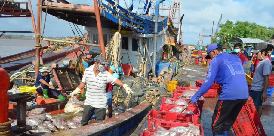 The first sea trips of the year promise a bumper year. Photo: Nhat Ho