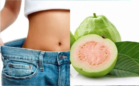Using guava and guava leaves helps lose weight after Tet. Graphics: Huong Giang