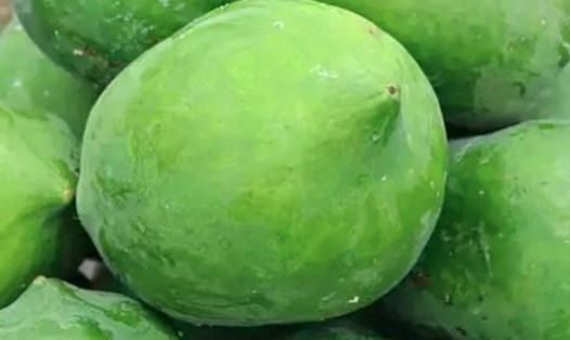 Đu đủ xanh sẽ hỗ trợ giảm cân hiệu quả khi chế biến đúng cách. Ảnh: Kiều Vũ