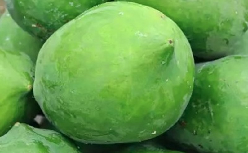 Green papaya will effectively support weight loss when prepared properly. Photo: Kieu Vu