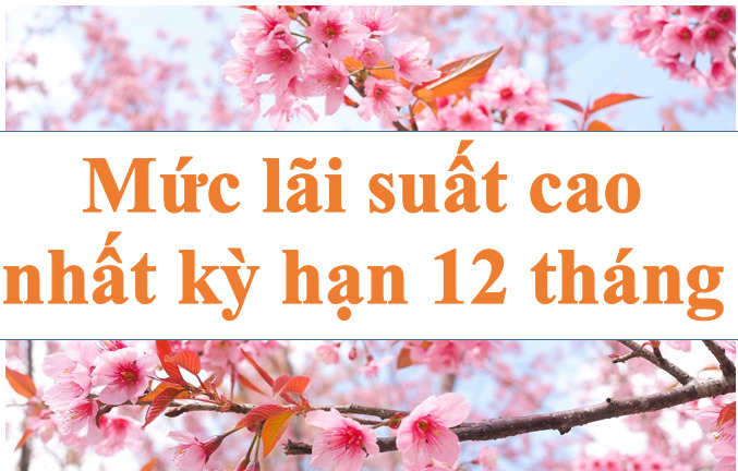 The highest interest rate for 12-month term is up to 7-9%. Photo: Ha Vy