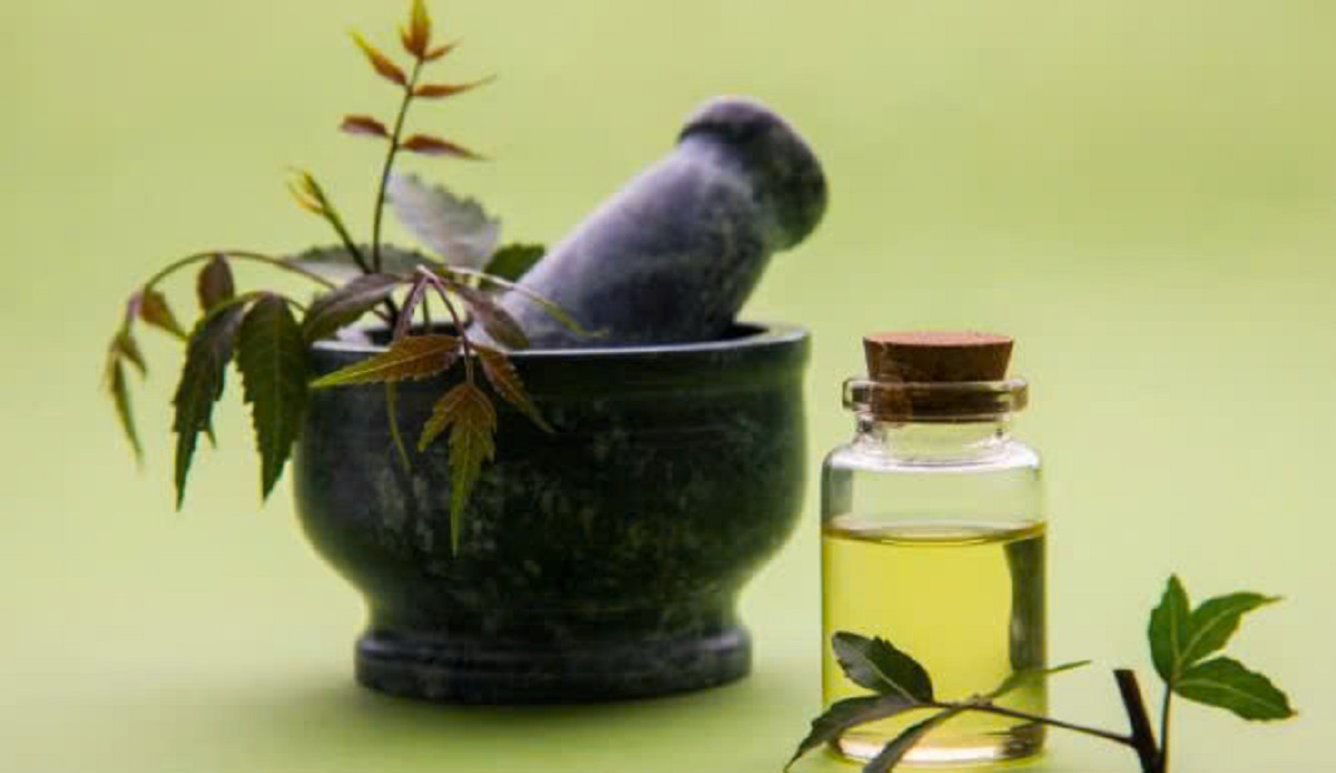 Dau neem giup dieu tri mun nhot hieu qua. Anh: Theo Healthshots