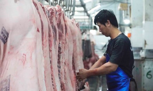 Sàn giao dịch thịt heo sẽ giúp đảm bảo chất lượng và minh bạch nguồn gốc. Ảnh: Hạ Mây