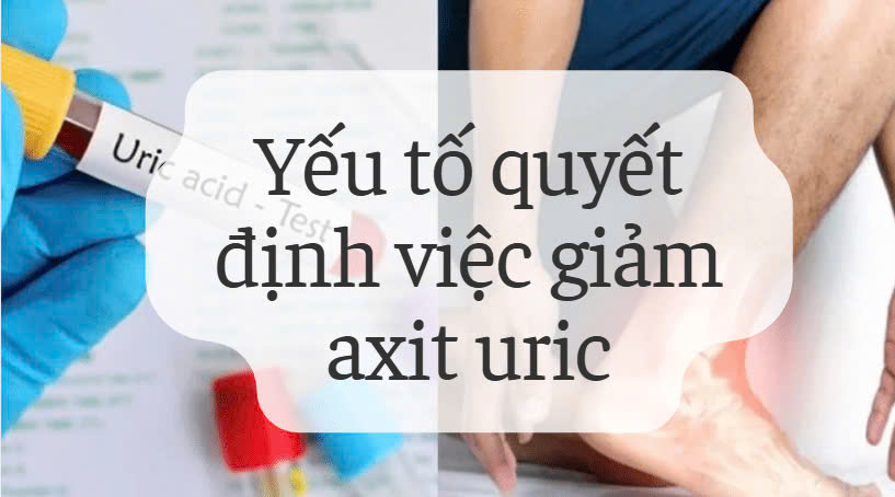 Factors determining uric acid reduction