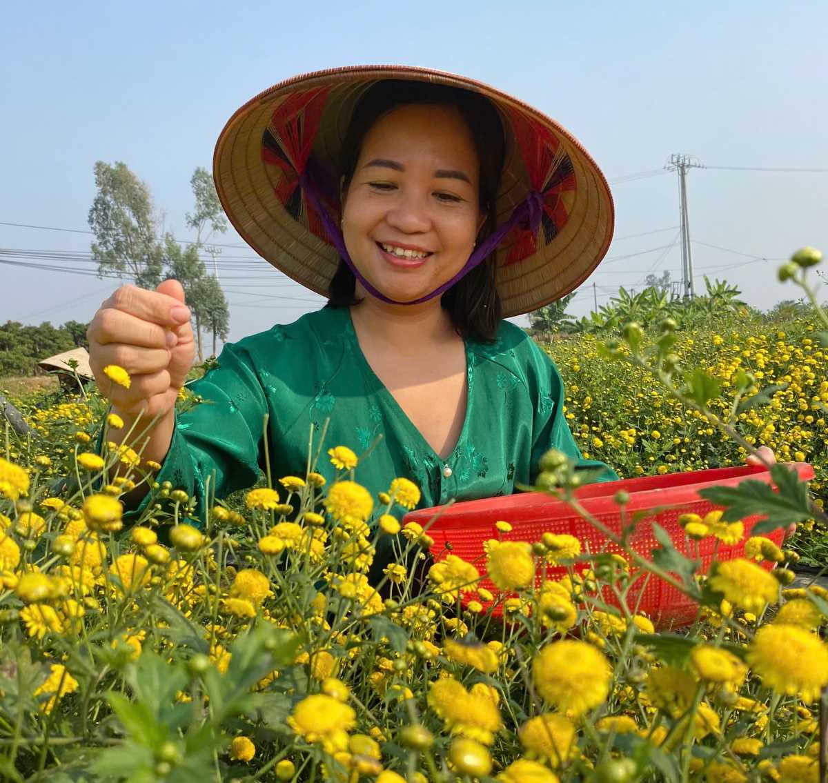 Ms. Cao Thi Hang - Director of Thang Thuy Cooperative is a typical face in the agricultural sector in Hai Phong. Photo: Provided by the character