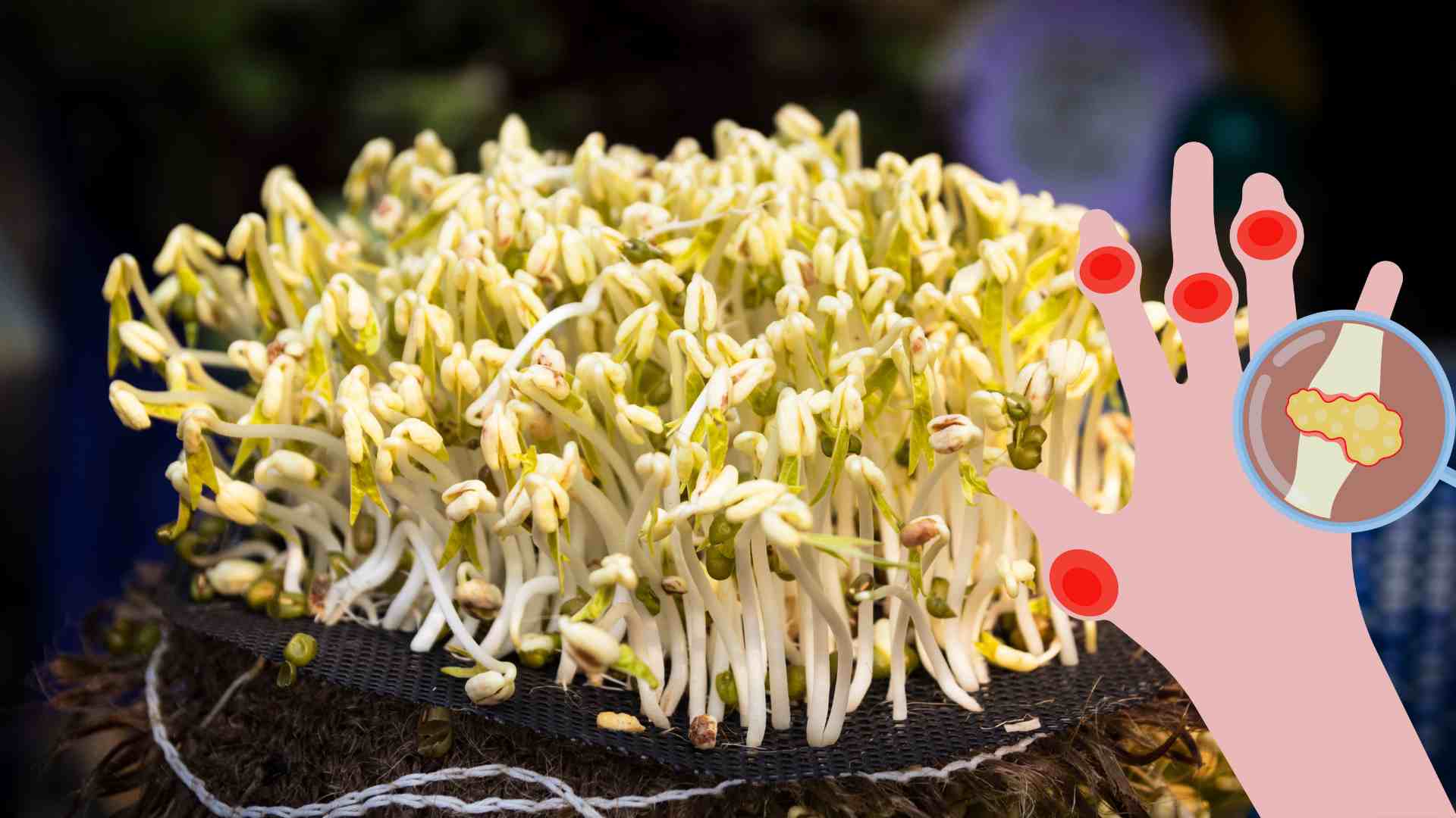 Here are some vegetables that people with high uric acid should avoid.