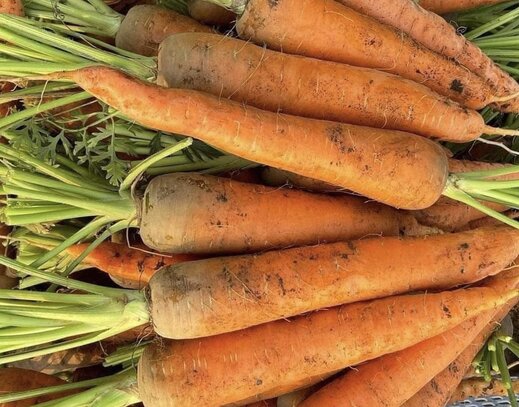 A simple way to reduce belly fat at home is to eat carrots. Photo: Kieu Vu