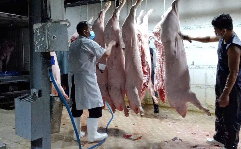 Many manual slaughterhouses in Long An are slow to relocate. Photo: Huan Cao