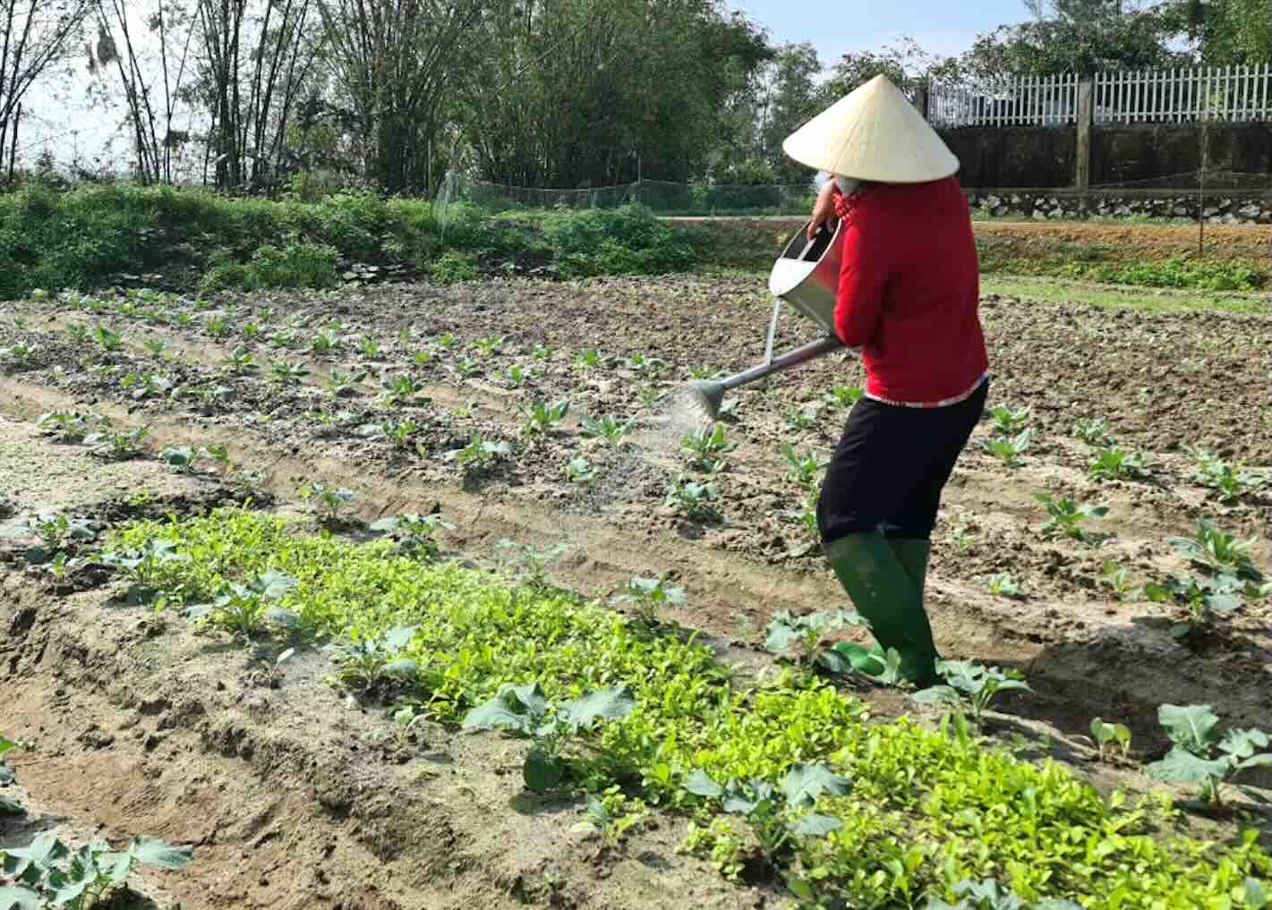 Tranh thu thoi tiet dang thuan loi, nguoi dan tap trung chuan bi cho vu Tet. Anh: Phi Sang