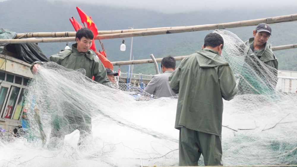 Da Nang fishing boats eagerly set sail in the last days of the year. Photo: Tran Thi
