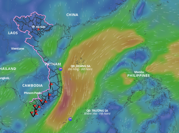 This morning, January 5, the low pressure area is located at about 5.5 - 6.5 degrees north latitude, 111.5 - 112.5 degrees east longitude. Photo: Vietnam Disaster Monitoring System