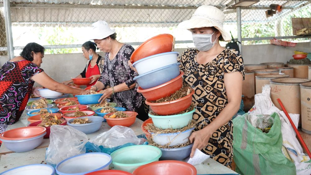 Nguoi tham gia ho tro boc thuoc, hau het ba con dia phuong, giao vien, sinh vien. Anh: Ta Quang