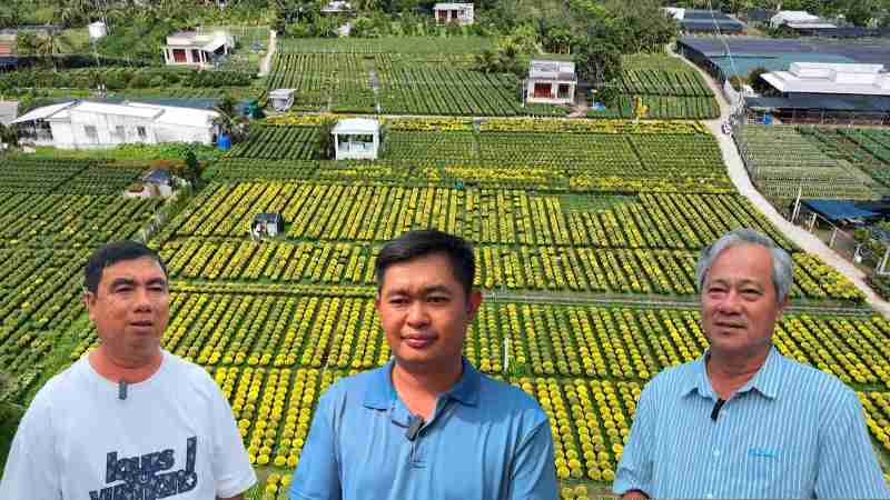 Joy, pride and hope for Cho Lach flower festival. Photo: Hoang Loc